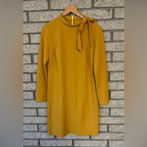 Calvin Klein shift dress women’s size 10. Bow & Mock Neck back- zip long sleeve